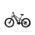 High Speed ​​Running Electric Fat Tire Bike